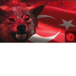 BKT Boz Kurt Team