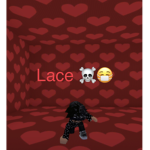 Lace has a Case