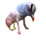 -Pigeon Cult-