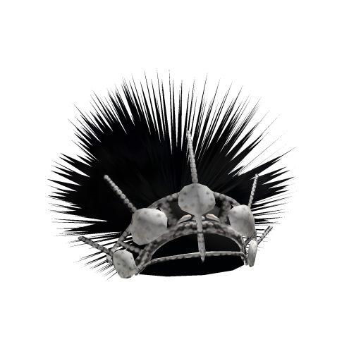 Roblox Limiteds