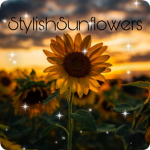 StylishSunflowers