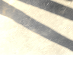 Test for bobux