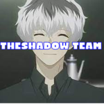 TheShadow Team