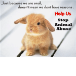 Animal Rescuers/lovers