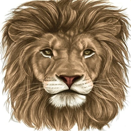 Group Icon
