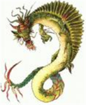 ninjas of the fallen dragon