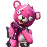 The pink Bear Team