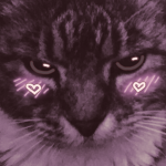 Tigah