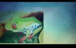 Frogiess1
