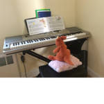 Piano Kangaroo Group