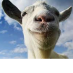 The united Goats