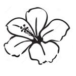 HibiscusClothing