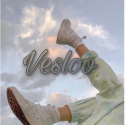 Vesloo's Homestore