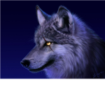 King's Dark Pack