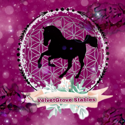 Velvet Grove Stables