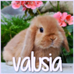 valusia