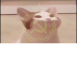 Pop-Cat Union