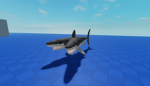 join the shark group
