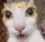 ×Hello!kitty×