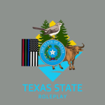 Houston City RP