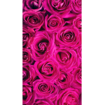 ~hot pink vibes~