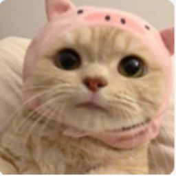 <3