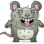 Infected Rats Group