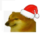 Doge Team_GG