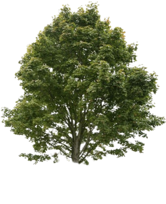 Square Decal