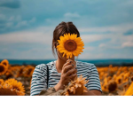 SunflowerBeachSunset