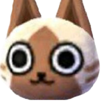 kittengroup