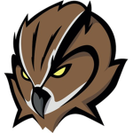 Vengeful Owl Studios