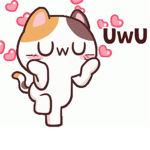 Kawaii Cat Club UwU