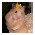 King Hamster.
