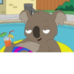 Reggie the koala