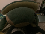Who likes turtle!!!