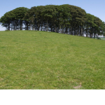 HELP NATURAL NATURE