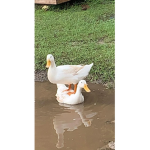 Celestial Hunters