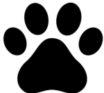 -kittens dogs-