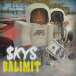 SkysTheLimit