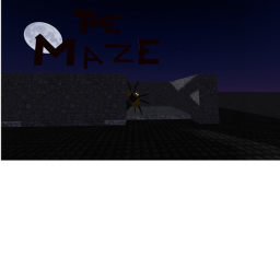 The Maze
