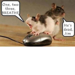 Rat snorters