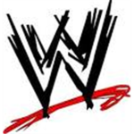 World Fighting Entertainment