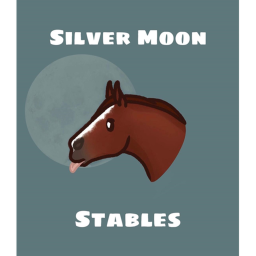 Silver Moon Stables