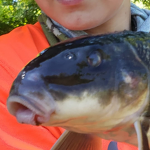 Fishy good
