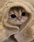 Mia's Gaming Life group