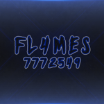 彡FL4MES