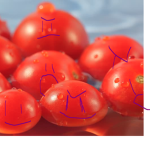 The Tomato Navy Of Roblox