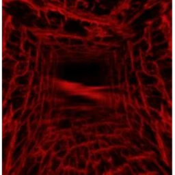 ฏ๎๎๎๎๎๎๎๎๎๎๎๎๎๎๎๎๎๎๎๎๎๎๎๎๎๎๎๎๎๎๎๎๎๎๎๎๎๎๎๎๎๎๎ฏ๎๎๎๎๎ icon
