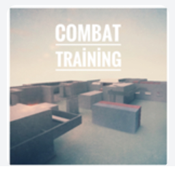 Combat  fight!